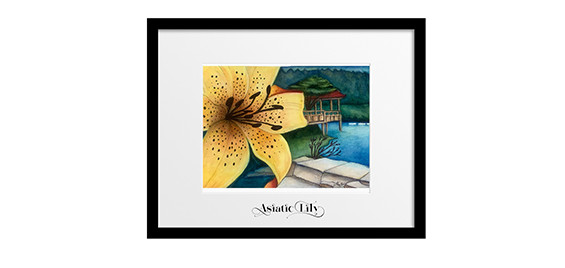 Asiatic Lily #1